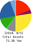 NAGANO KEIKI CO.,LTD. Balance Sheet 2024年Mar期 NAGANO KEIKI CO.,LTD. Balance Sheet 2024年3月期