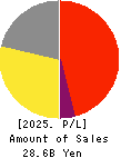 DAIDOH LIMITED Profit and Loss Account 2025年Mar期 DAIDOH LIMITED Profit and Loss Account 2025年3月期