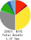 TBS HOLDINGS,INC. Balance Sheet 2021年Mar期 TBS HOLDINGS,INC. Balance Sheet 2021年3月期