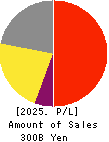 SANTEN PHARMACEUTICAL CO.,LTD. Profit and Loss Account 2025年3月期