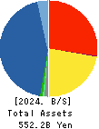 MACNICA HOLDINGS, INC. Balance Sheet 2024年3月期