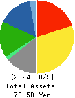 Dynapac Co.,Ltd. Balance Sheet 2024年Dec期 Dynapac Co.,Ltd. Balance Sheet 2024年12月期
