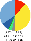True Data Inc. Balance Sheet 2024年Mar期 True Data Inc. Balance Sheet 2024年3月期