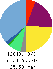 HEALIOS K.K. Balance Sheet 2019年Dec期 HEALIOS K.K. Balance Sheet 2019年12月期