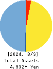 SUSMED,Inc. Balance Sheet 2024年6月期