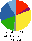 TOKUDEN CO.,LTD. Balance Sheet 2024年Mar期 TOKUDEN CO.,LTD. Balance Sheet 2024年3月期