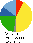 AXYZ Co.,Ltd. Balance Sheet 2024年Jun期 AXYZ Co.,Ltd. Balance Sheet 2024年6月期