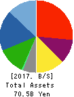 Sanoyas Holdings Corporation Balance Sheet 2017年Mar期 Sanoyas Holdings Corporation Balance Sheet 2017年3月期