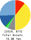 Computer Institute of Japan,Ltd. Balance Sheet 2024年6月期