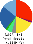 Terilogy Holdings Corporation Balance Sheet 2024年3月期