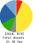 Dainichi Co.,Ltd. Balance Sheet 2024年Mar期 Dainichi Co.,Ltd. Balance Sheet 2024年3月期