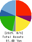 SAKURA internet Inc. Balance Sheet 2025年3月期