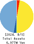 Temairazu, Inc. Balance Sheet 2024年Jun期 Temairazu, Inc. Balance Sheet 2024年6月期