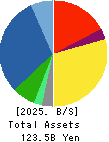 FURUNO ELECTRIC CO.,LTD. Balance Sheet 2025年2月期