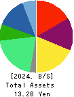 INEST,Inc. Balance Sheet 2024年3月期