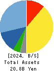 Helios Techno Holding Co.,Ltd. Balance Sheet 2024年3月期