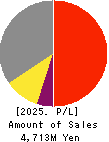 mbs,inc. Profit and Loss Account 2025年May期 mbs,inc. Profit and Loss Account 2025年5月期