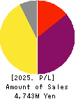 ispace,inc. Profit and Loss Account 2025年Mar期 ispace,inc. Profit and Loss Account 2025年3月期