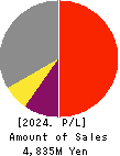 System Integrator Corp. Profit and Loss Account 2024年2月期