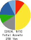 NIPPON FELT CO.,LTD. Balance Sheet 2024年Mar期 NIPPON FELT CO.,LTD. Balance Sheet 2024年3月期