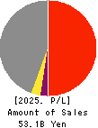 FIDEA Holdings Co. Ltd. Profit and Loss Account 2025年3月期