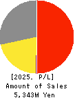 Innovation Inc. Profit and Loss Account 2025年3月期