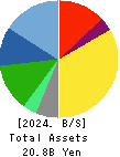 AGS Corporation Balance Sheet 2024年Mar期 AGS Corporation Balance Sheet 2024年3月期