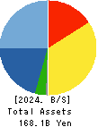 SHINNIHON CORPORATION Balance Sheet 2024年3月期