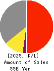 FreeBit Co.,Ltd. Profit and Loss Account 2025年4月期