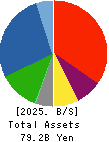 DIAMOND ELECTRIC HOLDINGS Co.,Ltd. Balance Sheet 2025年Mar期 DIAMOND ELECTRIC HOLDINGS Co.,Ltd. Balance Sheet 2025年3月期