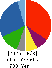 DIAMOND ELECTRIC HOLDINGS Co.,Ltd. Balance Sheet 2025年3月期