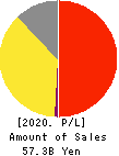 DD GROUP Co., Ltd. Profit and Loss Account 2020年2月期