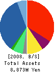 Biznet Corporation Balance Sheet 2008年5月期