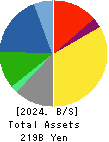 NPR-RIKEN CORPORATION Balance Sheet 2024年3月期