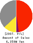 EBATA Corporation Profit and Loss Account 2007年3月期
