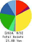 DAIMARU ENAWIN Co.,Ltd. Balance Sheet 2024年3月期