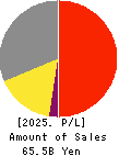 INTAGE HOLDINGS Inc. Profit and Loss Account 2025年6月期