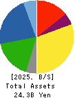 Daito Chemix Corporation Balance Sheet 2025年3月期