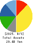 ICHIKAWA CO.,LTD. Balance Sheet 2025年Mar期 ICHIKAWA CO.,LTD. Balance Sheet 2025年3月期