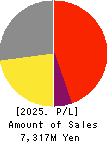Eltes Co.,Ltd. Profit and Loss Account 2025年Feb期 Eltes Co.,Ltd. Profit and Loss Account 2025年2月期