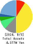 System Location Co., Ltd. Balance Sheet 2024年Mar期 System Location Co., Ltd. Balance Sheet 2024年3月期
