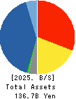 KNT-CT Holdings Co.,Ltd. Balance Sheet 2025年Mar期 KNT-CT Holdings Co.,Ltd. Balance Sheet 2025年3月期
