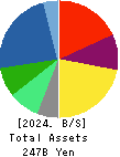 TOPCON CORPORATION Balance Sheet 2024年Mar期 TOPCON CORPORATION Balance Sheet 2024年3月期