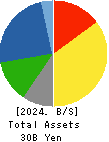 TAKADAKIKO Balance Sheet 2024年Mar期 TAKADAKIKO Balance Sheet 2024年3月期