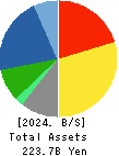 NORITZ CORPORATION Balance Sheet 2024年Dec期 NORITZ CORPORATION Balance Sheet 2024年12月期