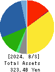 Nissan Chemical Corporation Balance Sheet 2024年Mar期 Nissan Chemical Corporation Balance Sheet 2024年3月期