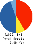 Hirose Tusyo Inc. Balance Sheet 2025年Mar期 Hirose Tusyo Inc. Balance Sheet 2025年3月期
