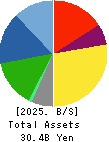 SAINT-CARE HOLDING CORPORATION Balance Sheet 2025年Mar期 SAINT-CARE HOLDING CORPORATION Balance Sheet 2025年3月期