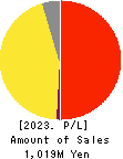 EYEZ,INC. Profit and Loss Account 2023年12月期