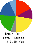 TOENEC CORPORATION Balance Sheet 2025年Mar期 TOENEC CORPORATION Balance Sheet 2025年3月期